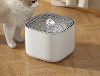 Fuente de agua para gatos