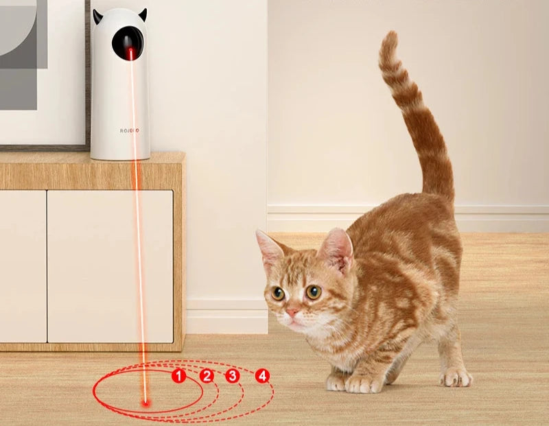 Purrfect Beam: LED Laser Fun